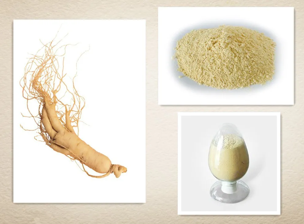 Ginseng Root Extract