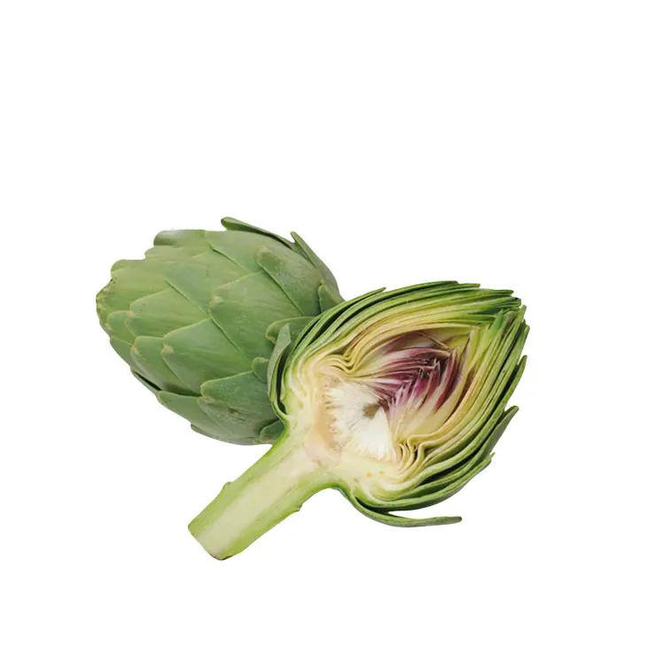 Artichoke Leaf Extract