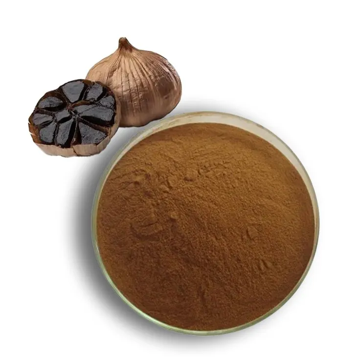 Black Garlic Extract