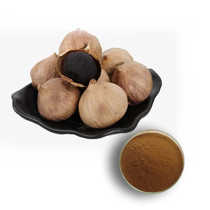 Black Garlic Extract