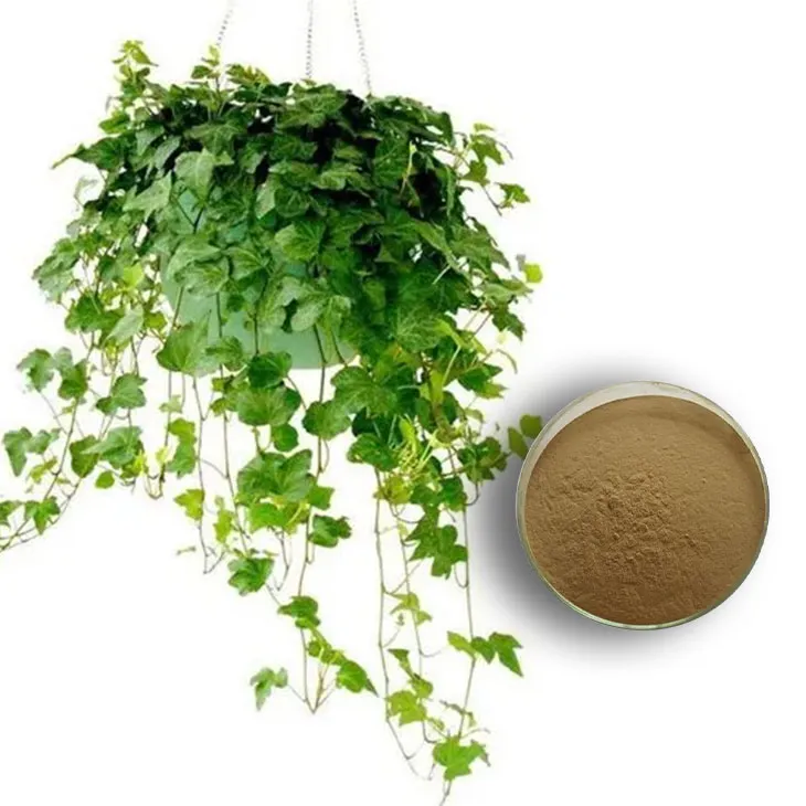 Ivy Extract