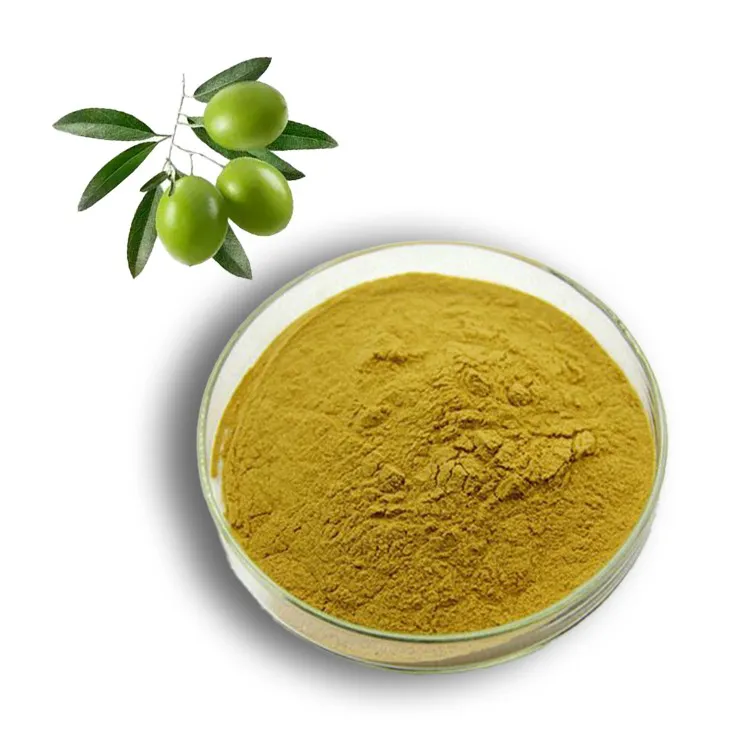 Olive Leaf Extract