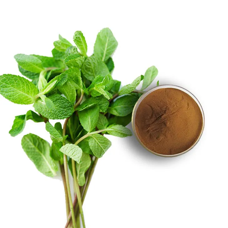 Peppermint Extract Powder