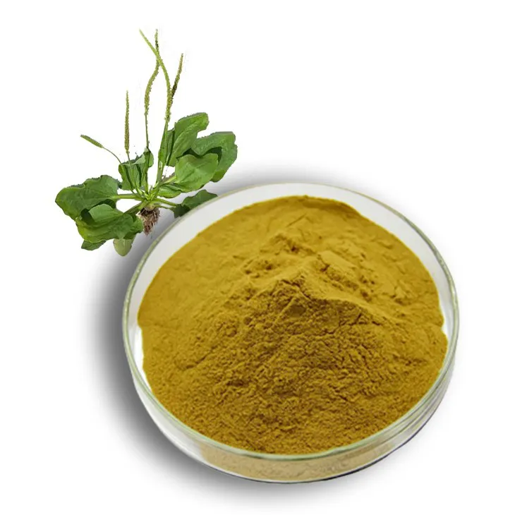 Plantain extract