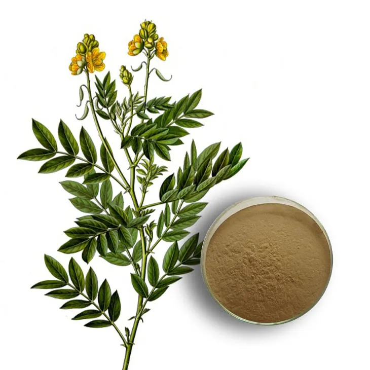 Senna Leaf Extract