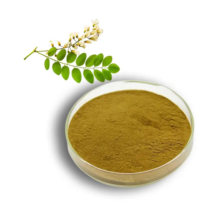 Sophora Japonica Flower Extract