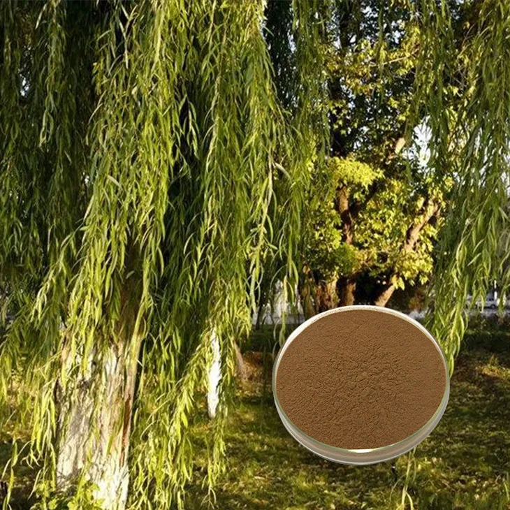 White Willow Bark Extract