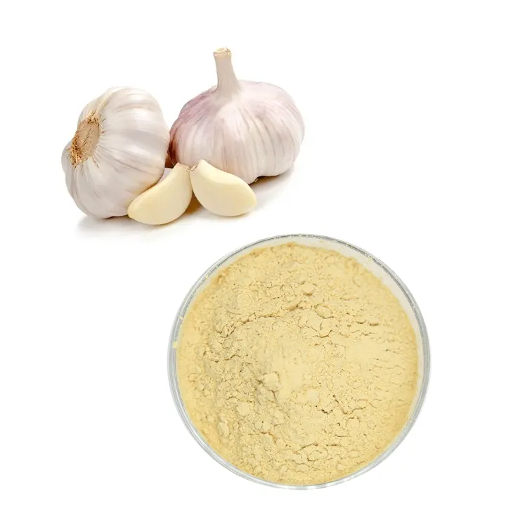 Aged Garlic Extract