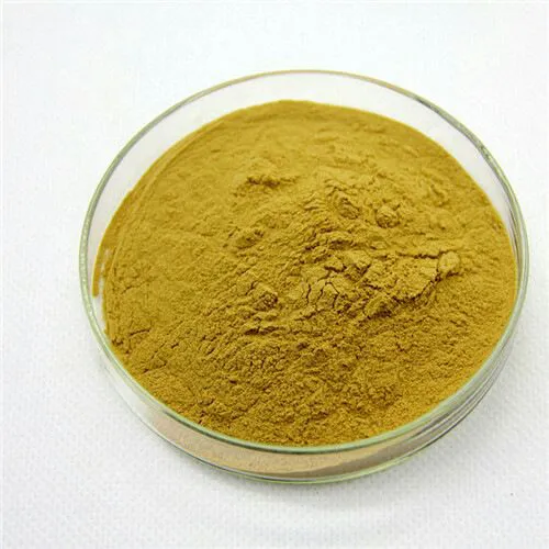 Berberis aristata Extract