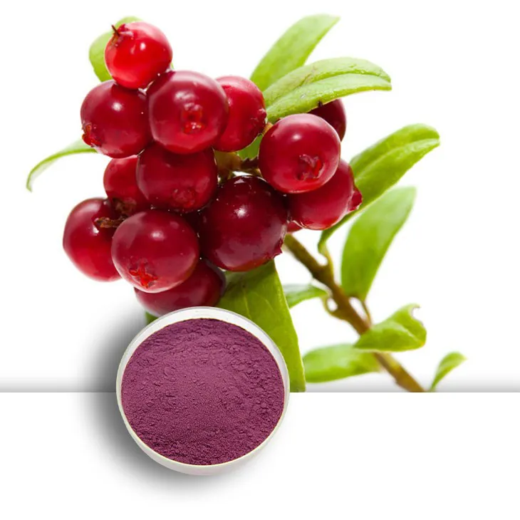 Bilberry Extract