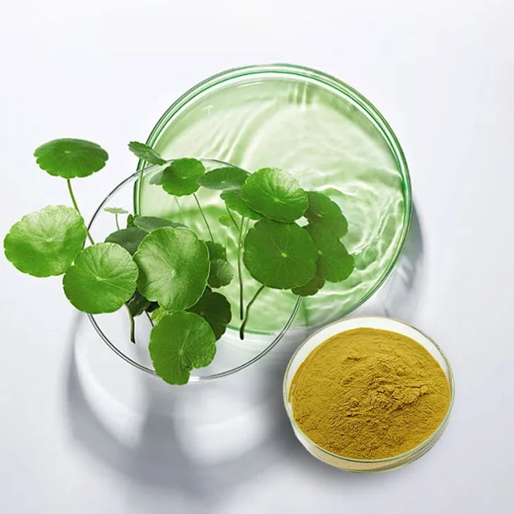 Centella Asiatica Extract