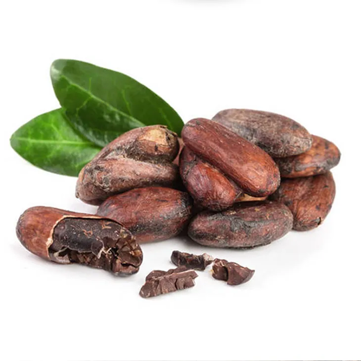 Cocoa Extract