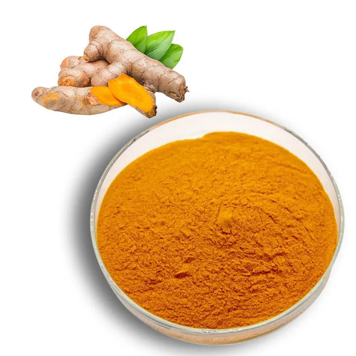 Curcuma Longa Extract/Turmeric extract