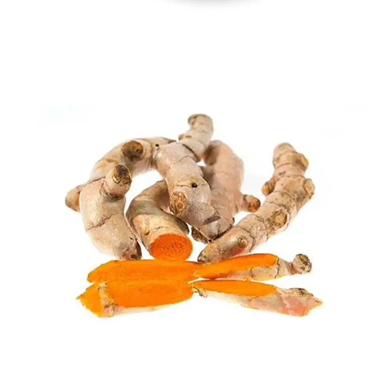 Curcuma Longa Extract/Turmeric extract