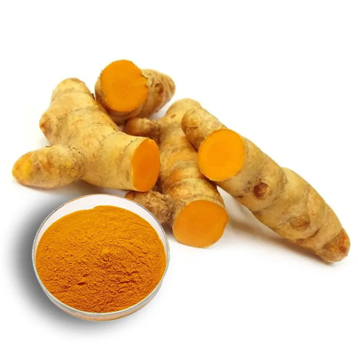 Curcuma Longa Extract/Turmeric extract