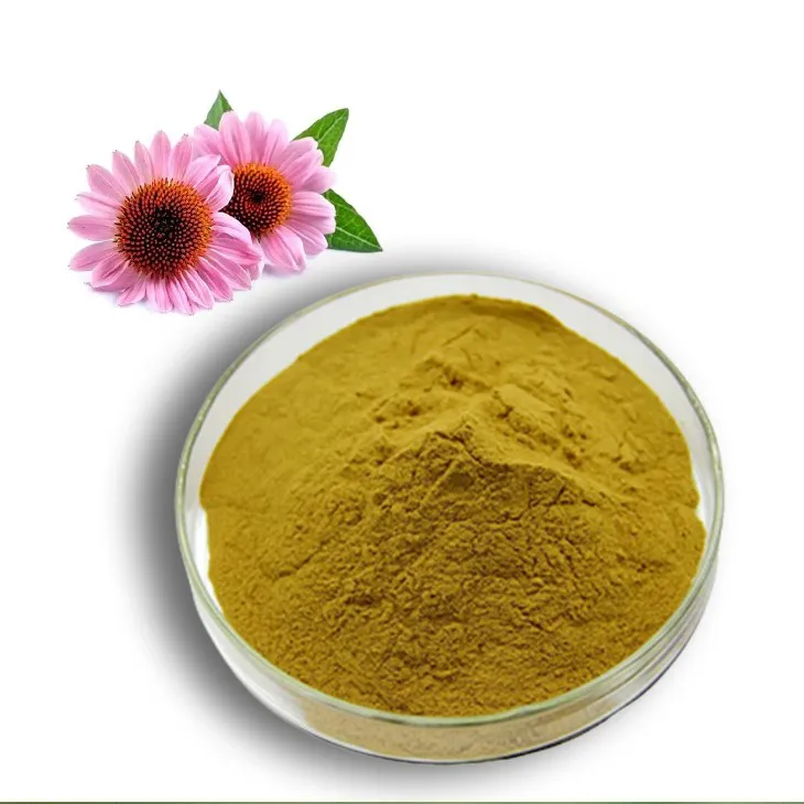 Echinacea Extract