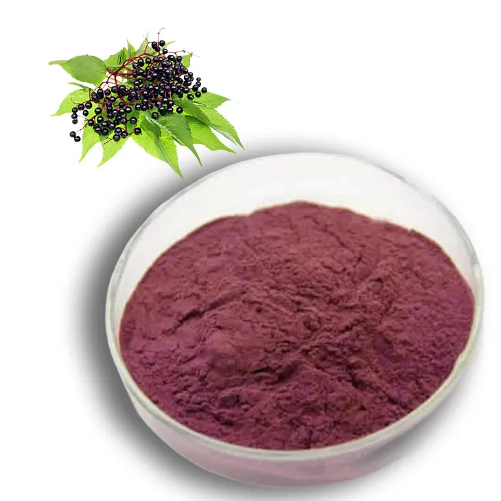 Elderberry Extract