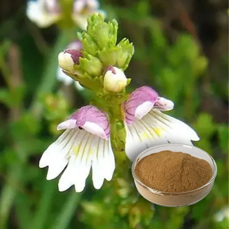 Eyebright Extract