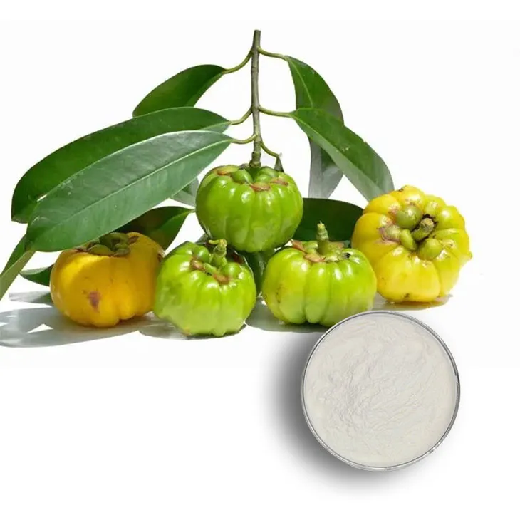 Garcinia Cambogia Extract