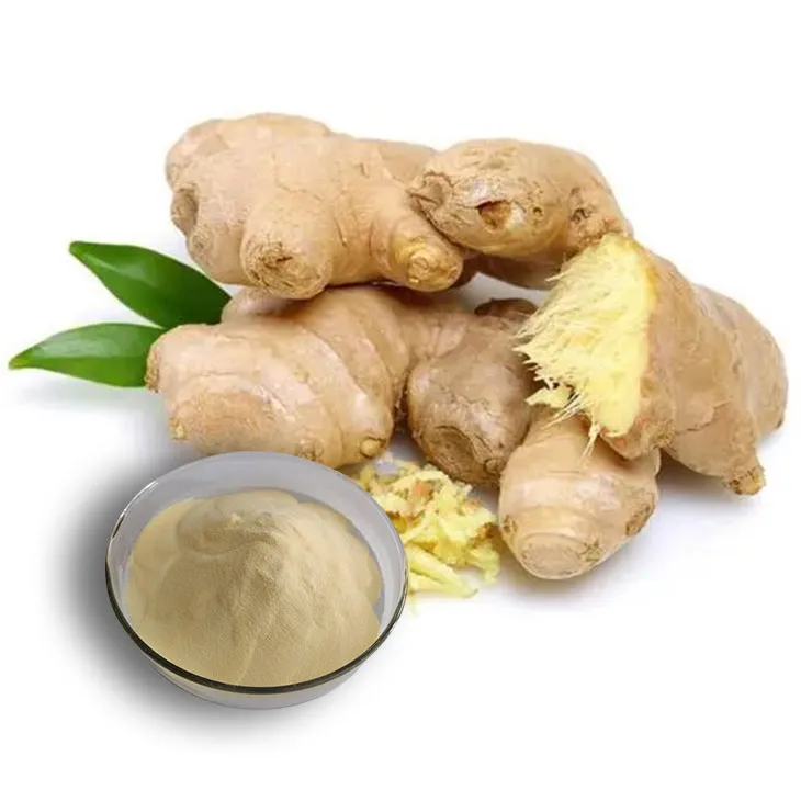 Ginger Extract