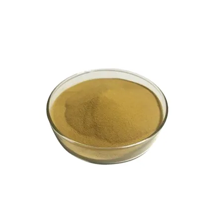 Ginkgo Biloba Extract