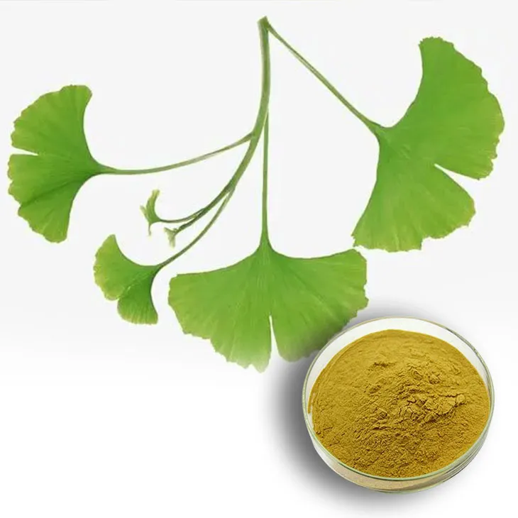 Ginkgo Biloba Extract