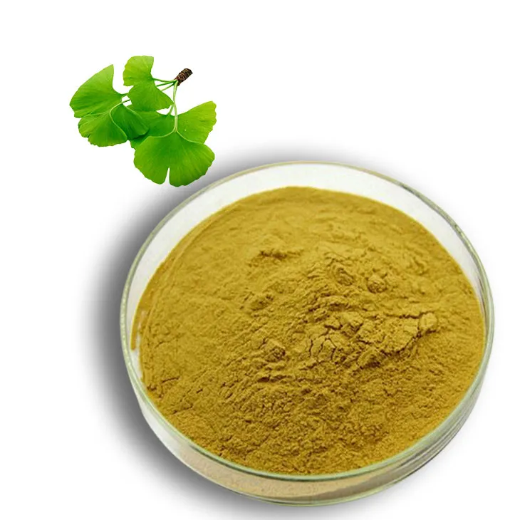 Ginkgo Biloba Extract