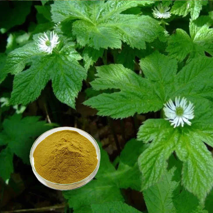 Golden Seal Extract