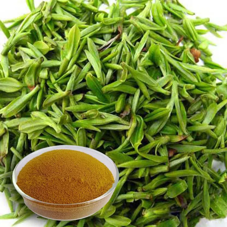 Green Tea Extract