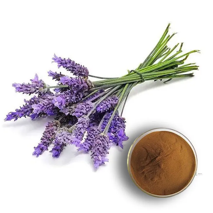 Lavender Extract