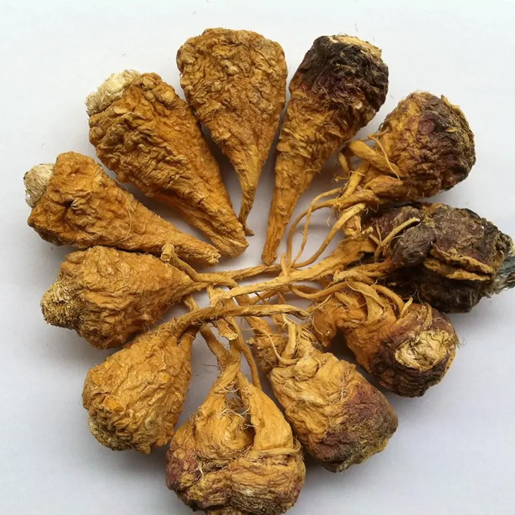 Maca Extract