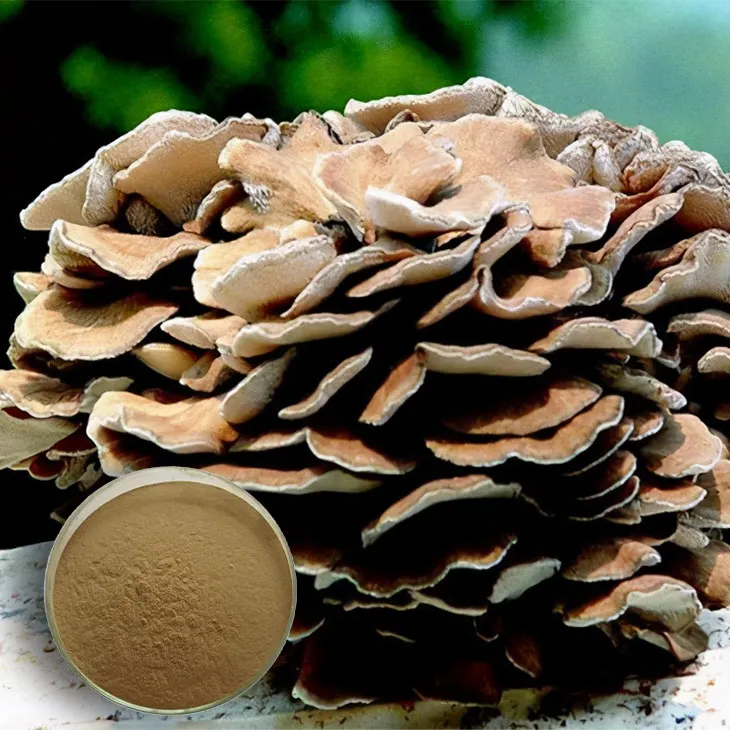 Maitake Mushroom Extract