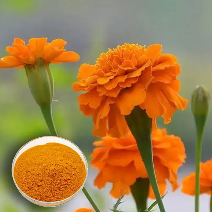 Marigold Extract