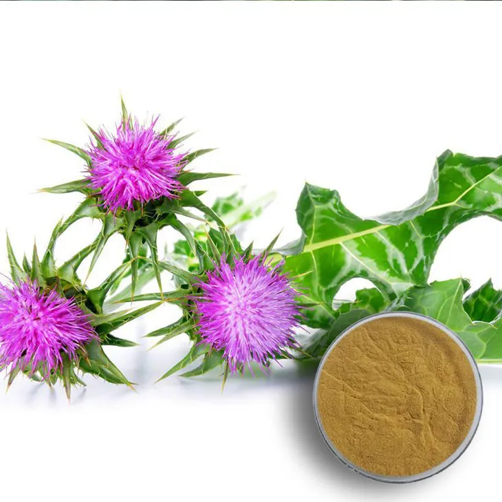 Milk Thistle Extract