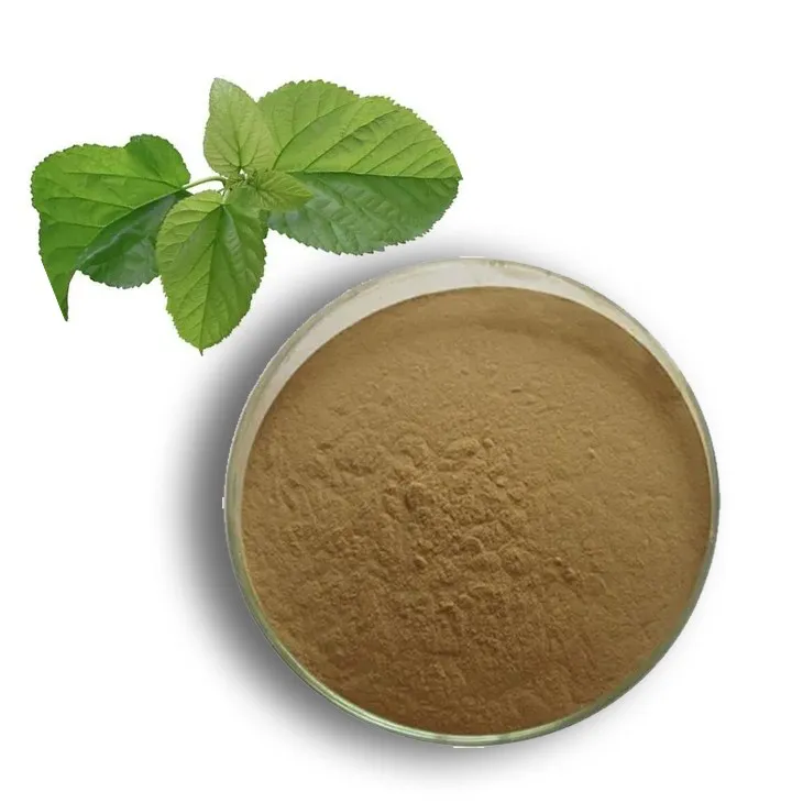 Mulberry leaf Extract