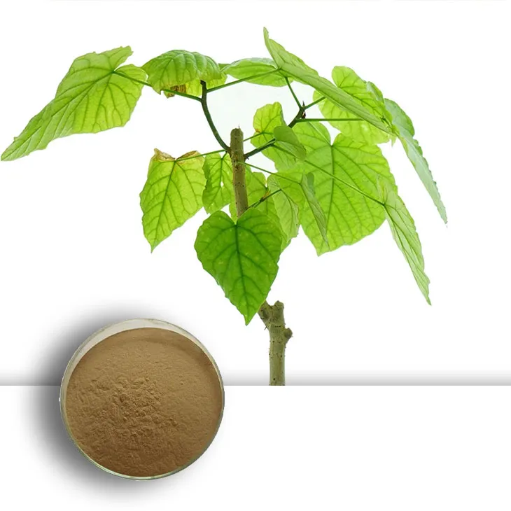 Mulberry leaf Extract