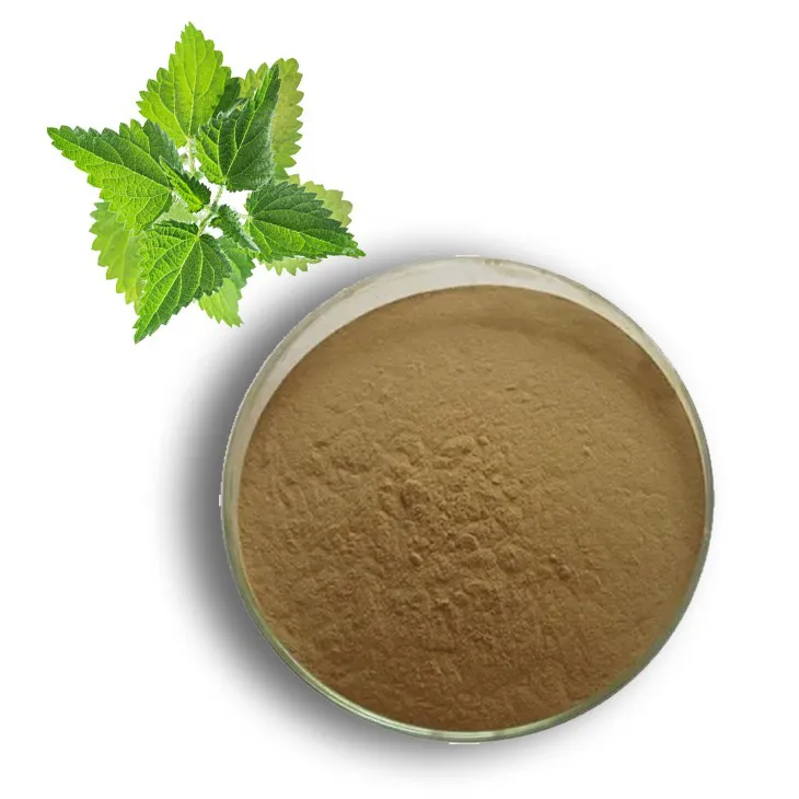 Nettle leaf extract