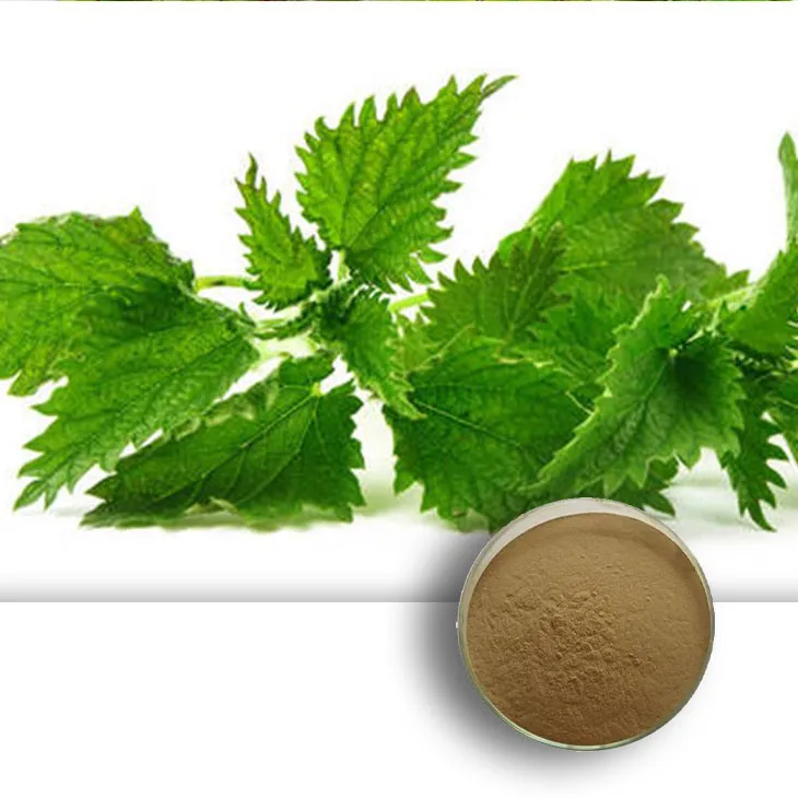 Nettle leaf extract