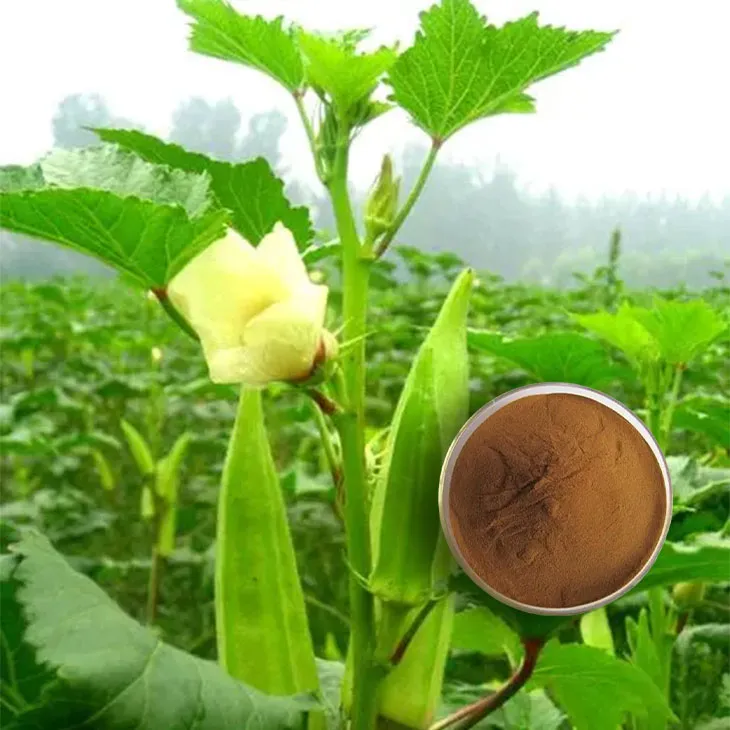 Okra Extract