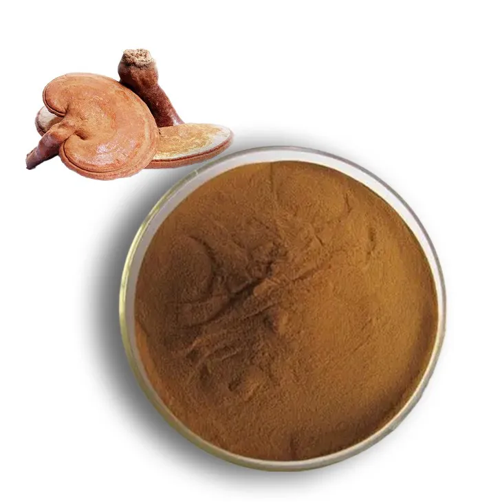 Reishi mushroom extract