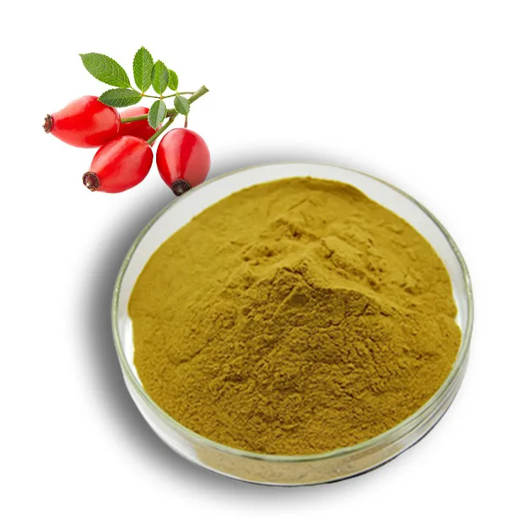 Rose Hip Extract