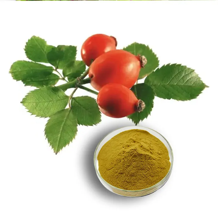 Rose Hip Extract