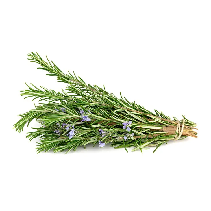 Rosemary extract