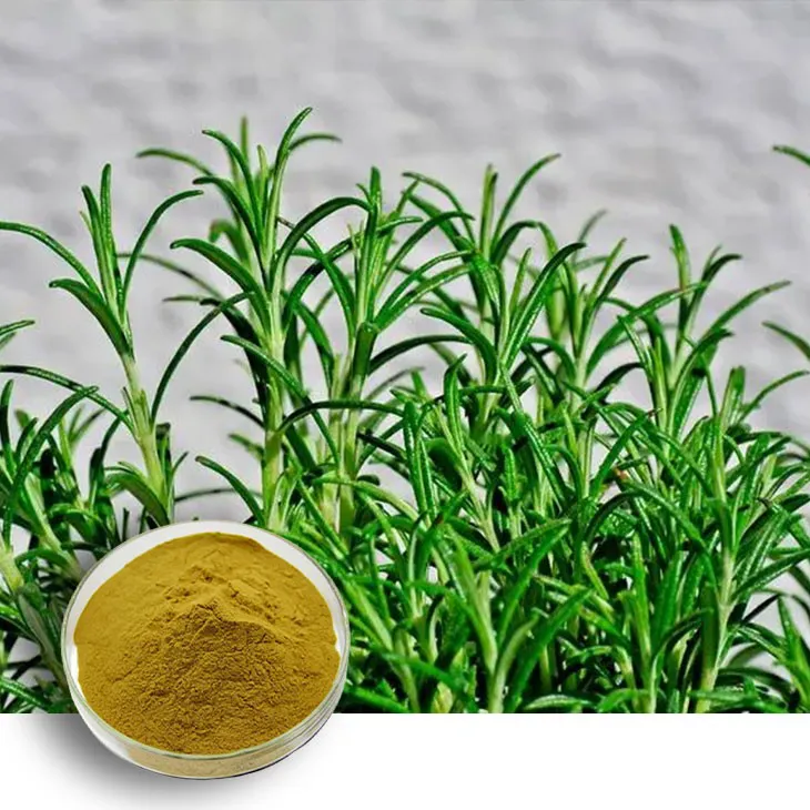 Rosemary extract