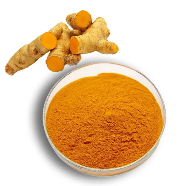 Curcuma Longa Extract/Turmeric extract