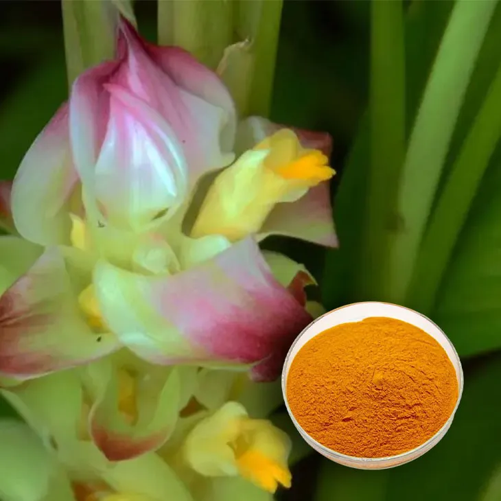 Curcuma Longa Extract/Turmeric extract