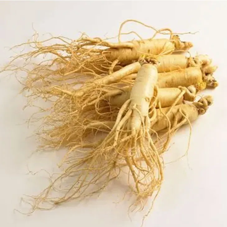 American Ginseng Root Extract