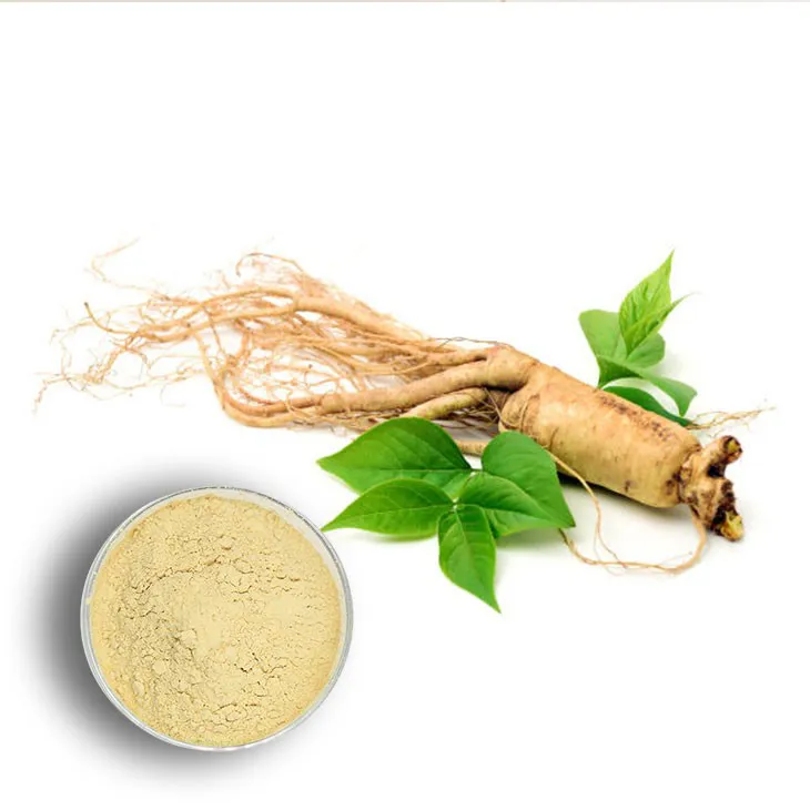 American Ginseng Root Extract