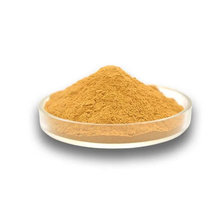 Andrographis Paniculata Extract Powder