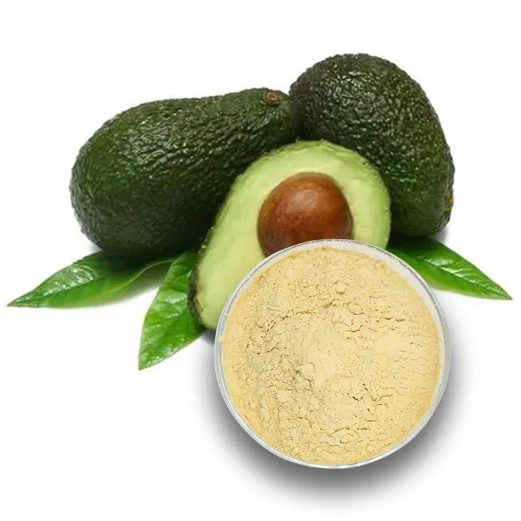 Avocado Extract Powder